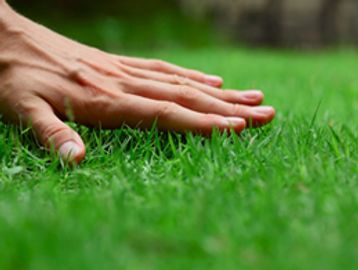 Professional lawn care and precise property maintenance services in Bergen County.