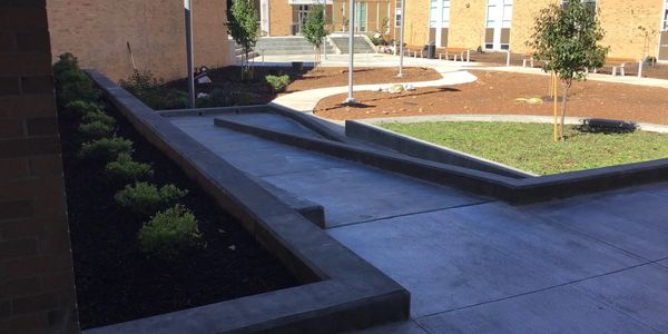 Landscape construction, WVU Parkersburg courtyard renovation's, large caliper B&B tree and shrubs 