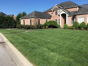 Charleston, WV Residential Lawn Care, Lawn Mowing, Grass Cutting, Landscaping 