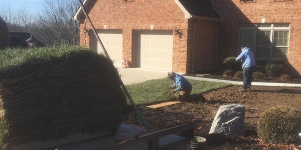 Lawn regrade and sod installation