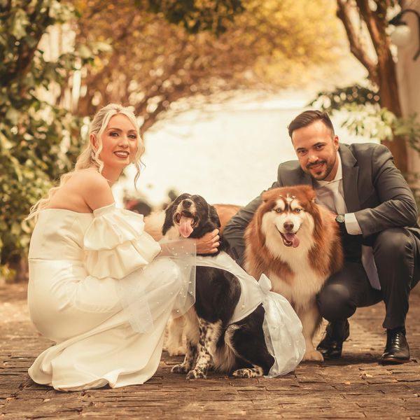 Bride and groom pose with their two dogs dressed in wedding attire outdoors.