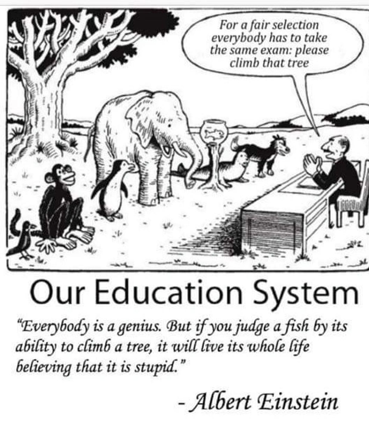 Image capturing the inequities of a one size fits all assessment system.