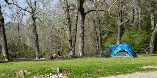 Blue tent set up in a grassy, wooded camping area.