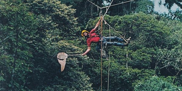 Zip lines, invented by Donald Perry in the modern era. He used ziplines to study the canopy.