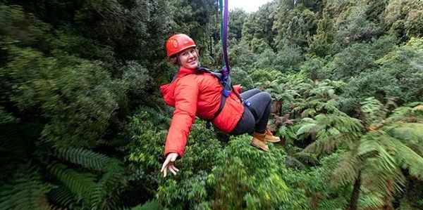 Zip lines have played a part through history. Zip lines have been important to survival. 