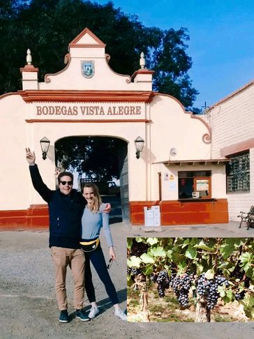 Die Wein- und Pisco-Tour wird mit einer Tour durch Huacachina kombiniert.