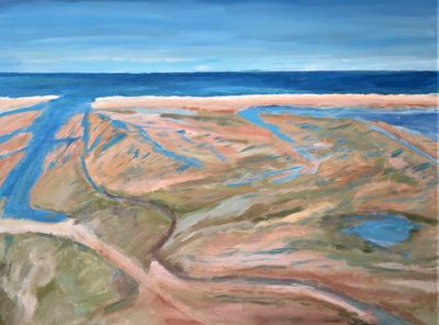 Brewster Flats - 30 x 40" - unframed for the moment $400