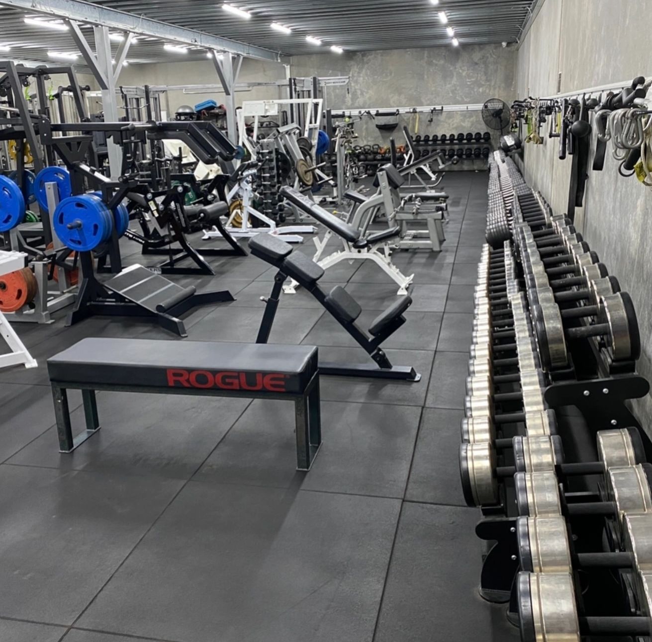 APOLLO GYM OPEN 24HRS, LOWER FLOOR, A VAST SELECTION & AMOUNT OF HANDLES & DBS.