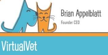 Virtualvetvisit

