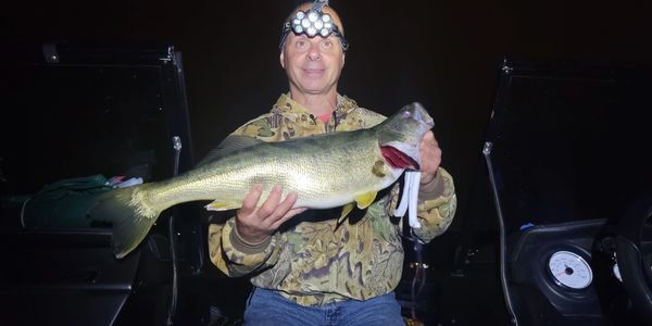 Walleye fishing charter Niagara River