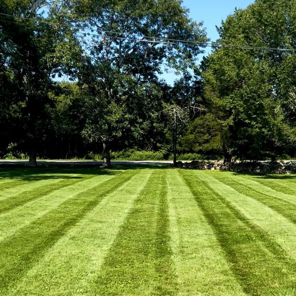 Weekly Lawn Cuts