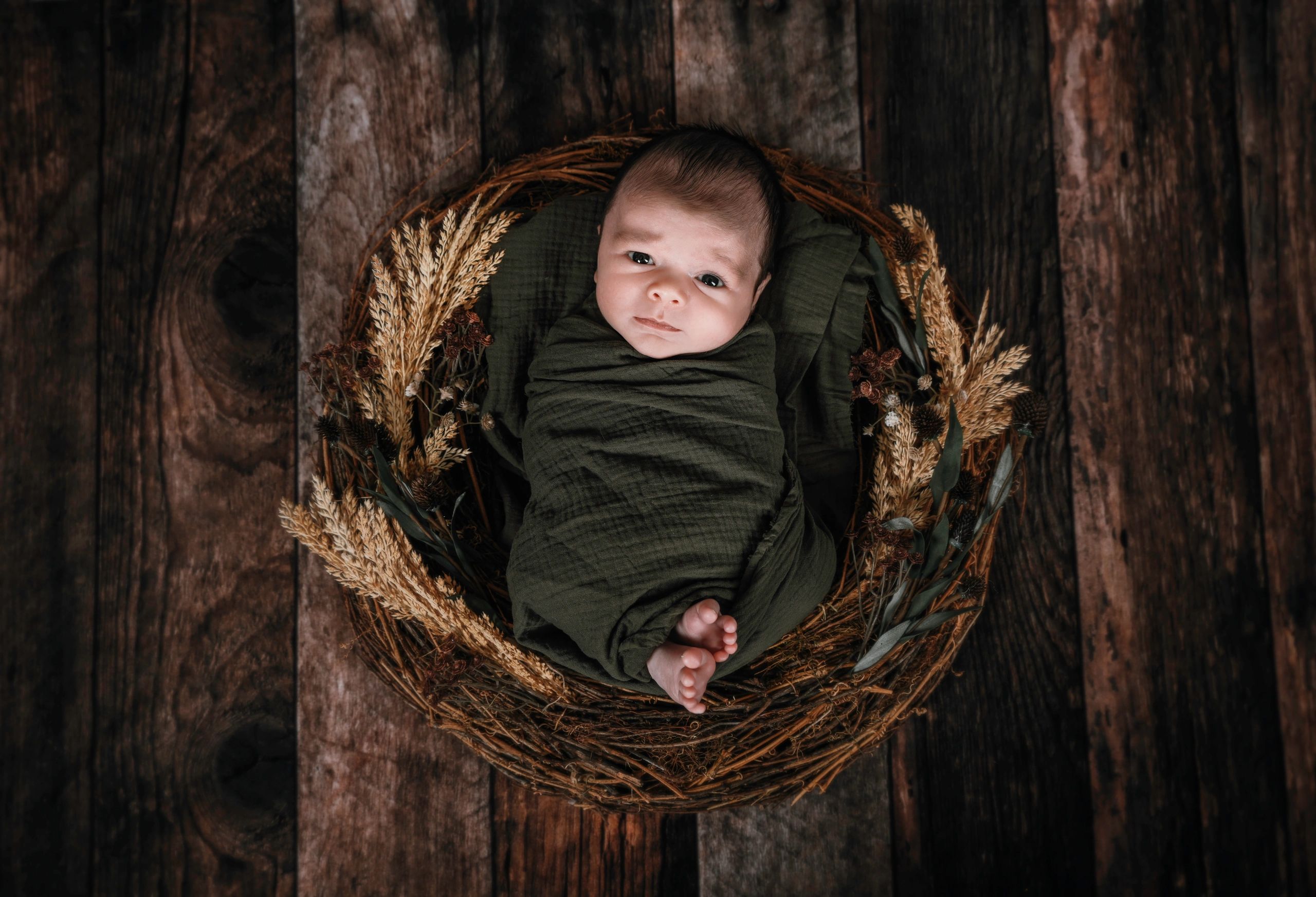 Newborn