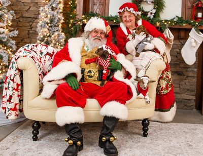 Santa and Mrs. Claus with cats in festive Christmas setting.