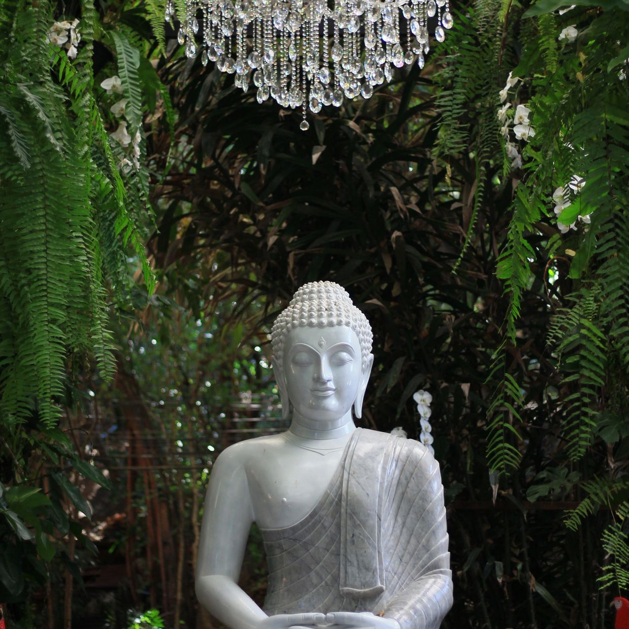 Williamsburg Psychic