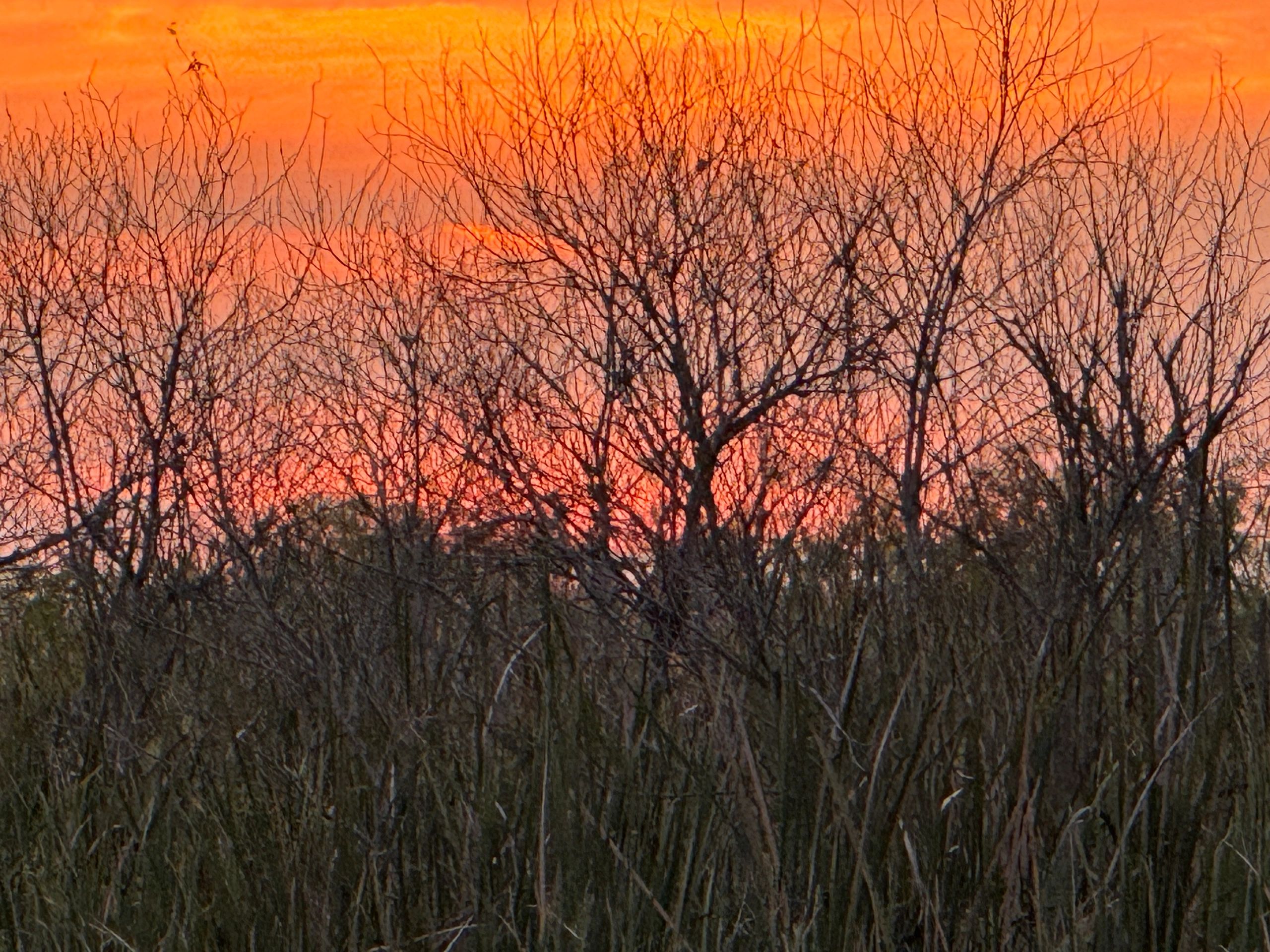 Photo of the sun, sun set Everglades, Loxahatchee, Arthur Marshall, national wildlife preserve