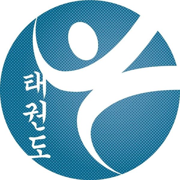 Stylized Taekwondo figure with Korean text on a blue patterned circle.