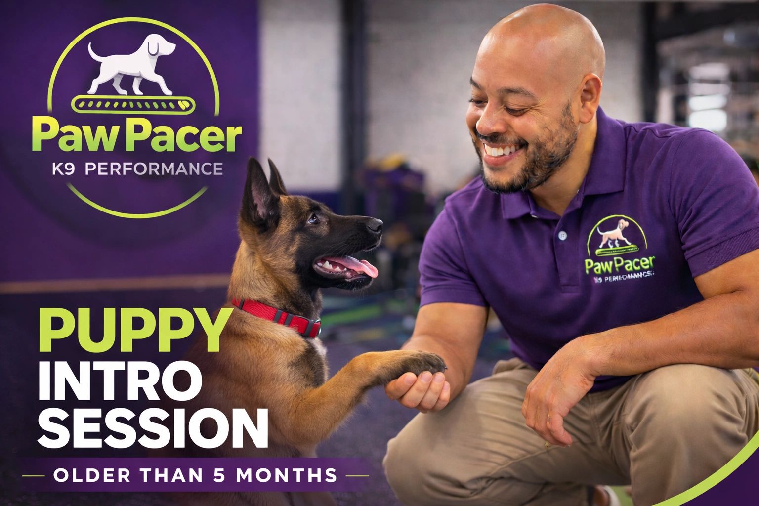 Man in purple shirt shaking paws with a happy puppy during a training session.