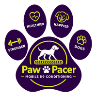 PawPacer K9 Performance