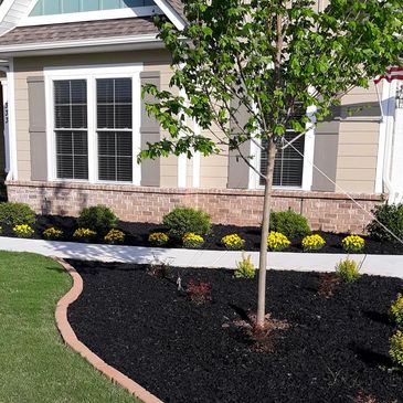 mulch and tree services