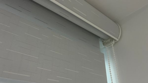 Zebra shades (Light gray with stripes)