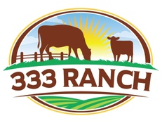 333 Ranch