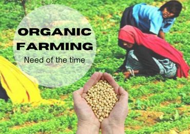 Sustainable Farming Practices