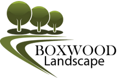 Boxwood Landscape