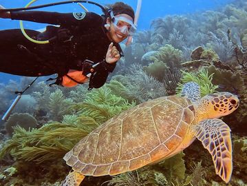 Scuba diving in Anguilla