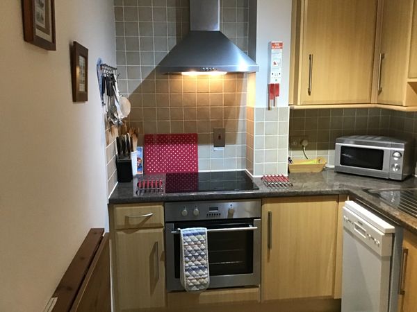 Kitchen cooker, hob, microwave and dishwasher