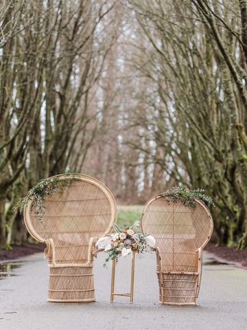 Peacock chair rentals 