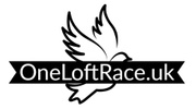 OneLoftRace.uk