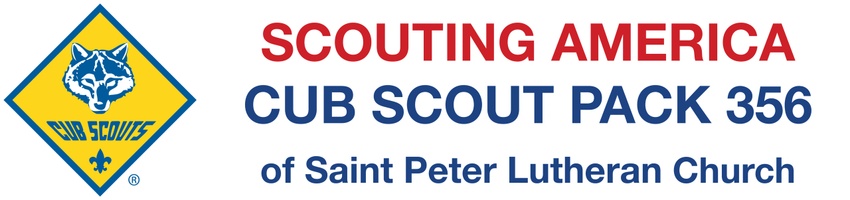 Cub Scout Pack 356