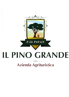 Il Pino Grande