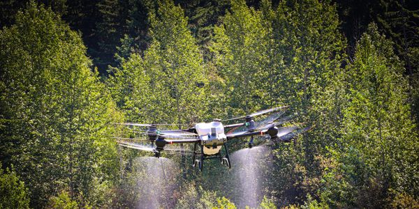 A spray drone doing an orchard demo
