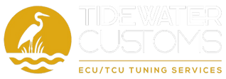 Tidewater Customs LLC