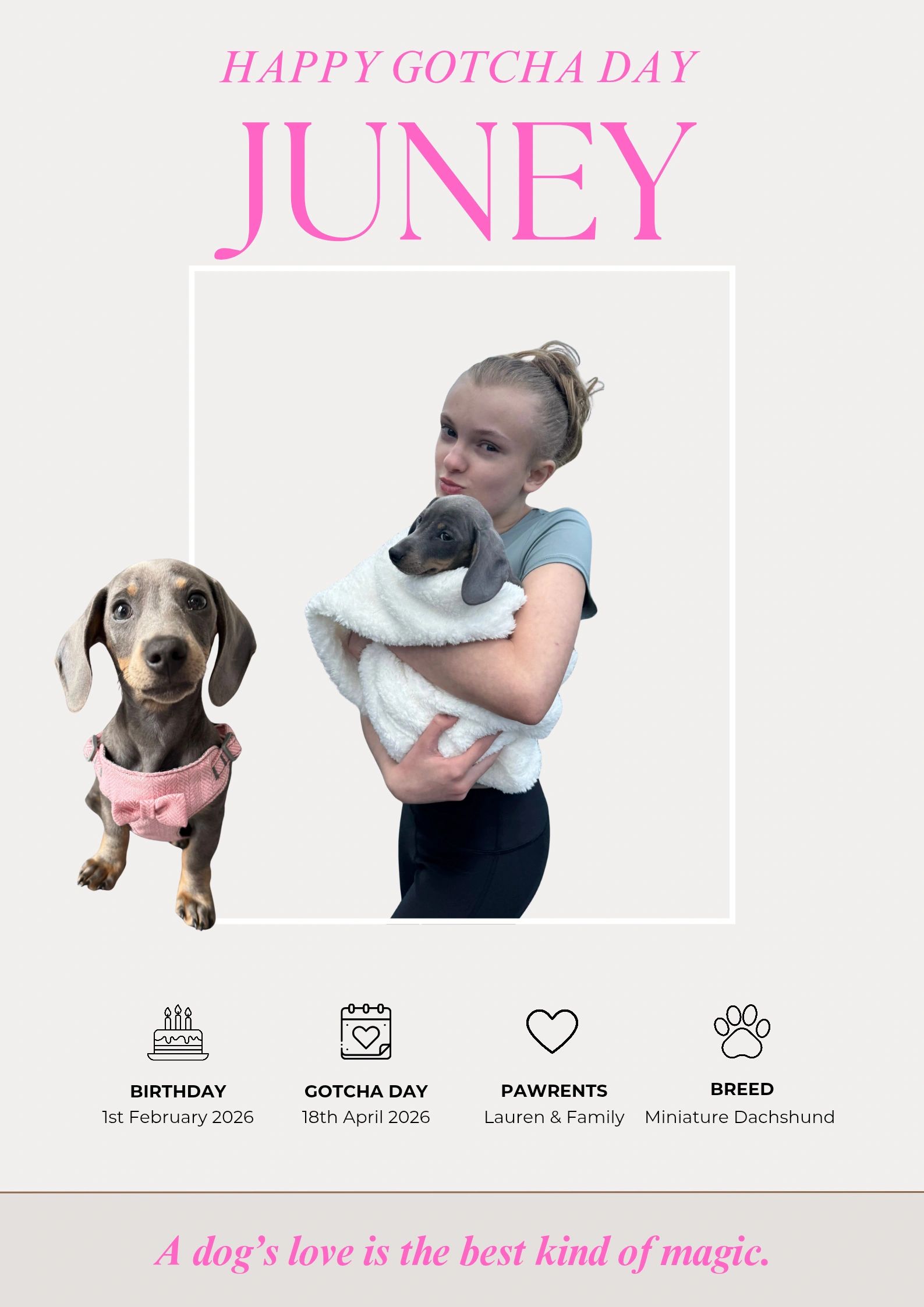 Celebrating Juney's Gotcha Day with love and joy.