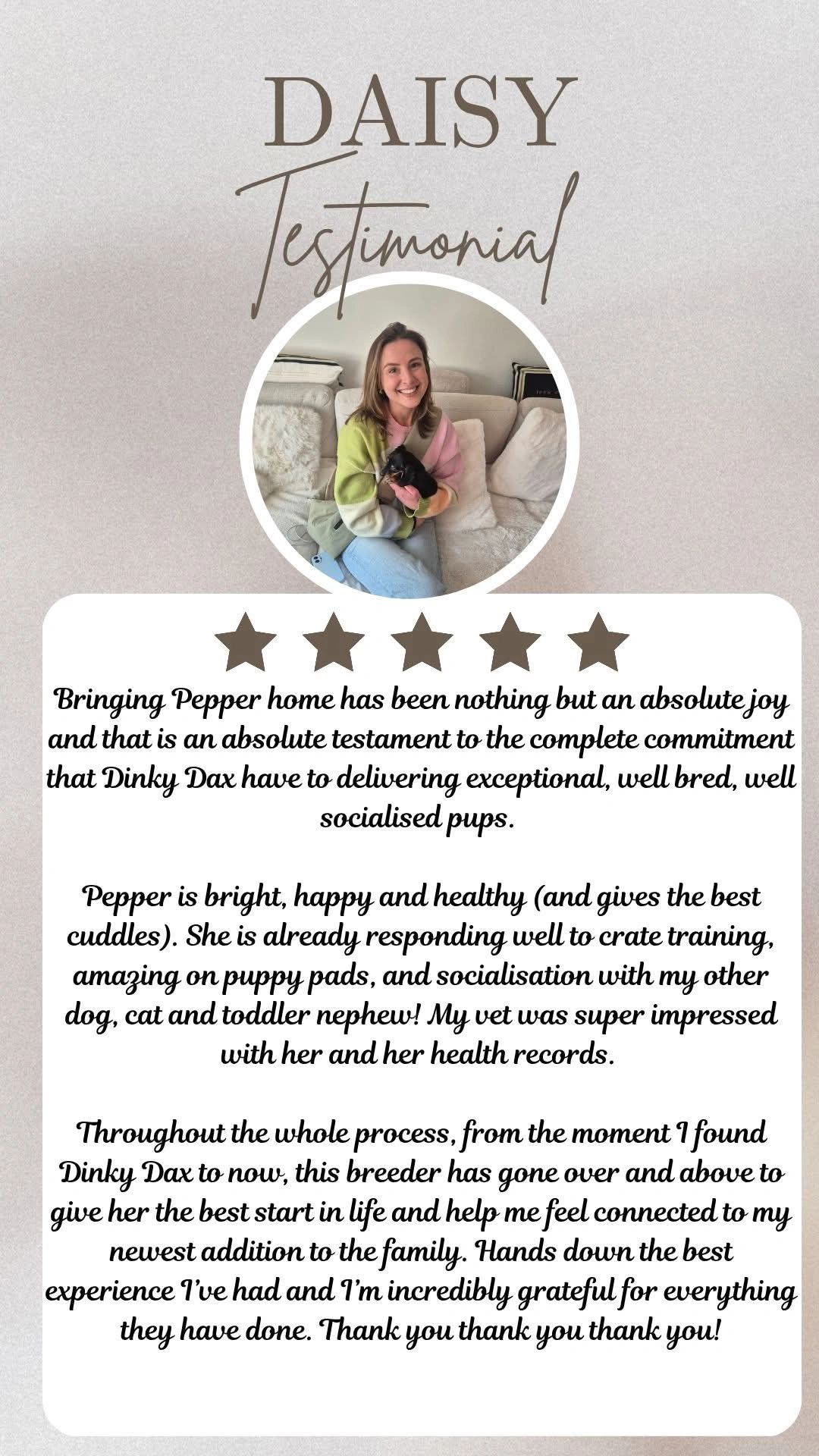 Happy woman holding a small dog with a glowing review of Dinky Dax pups.