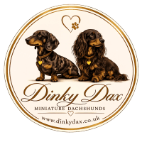 Dinky Dax