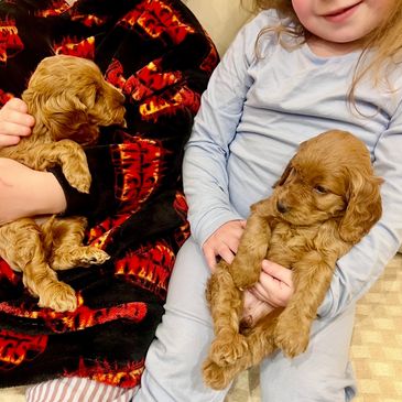 Two children holding small brown puppies indoors.