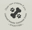 Clearview Puppies