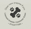Clearview Puppies