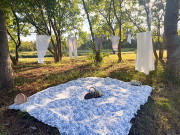 Clothes drying on a line near a picnic blanket in a sunny forest clearing.