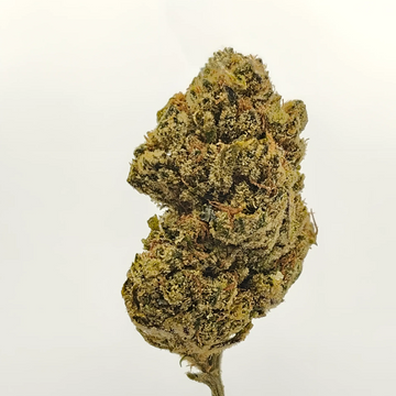 Levitating THCa Flower