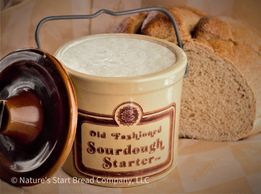 Sourdough Starter