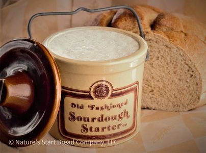 Sourdough Starter