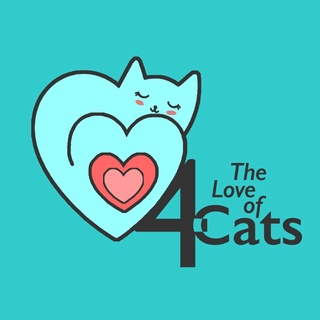 4 The Love of Cats
...cat sitting service 