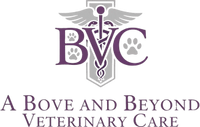 A Bove and Beyond Veterinary Care