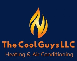THE COOL GUYS 