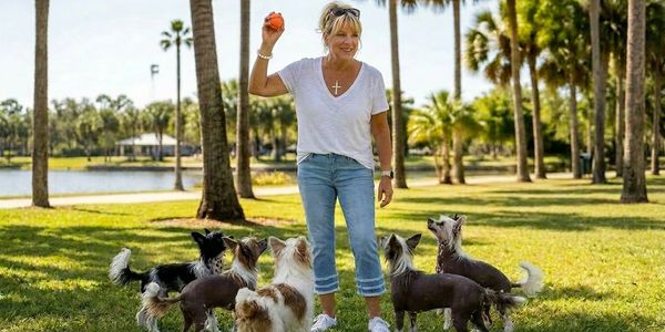 Woman playing fetch with six small dogs in a sunny park.