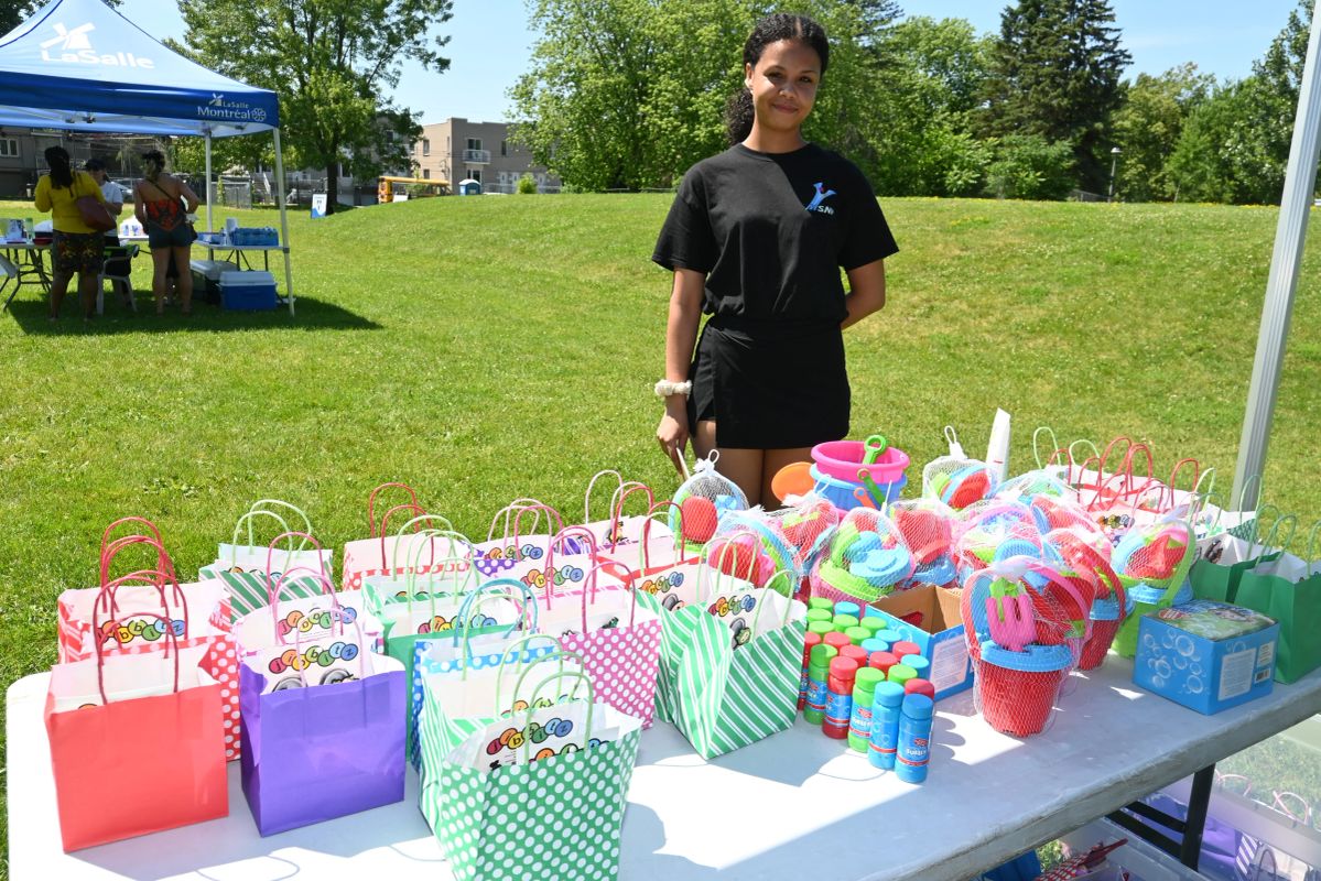 MSNF Celebration in the Park